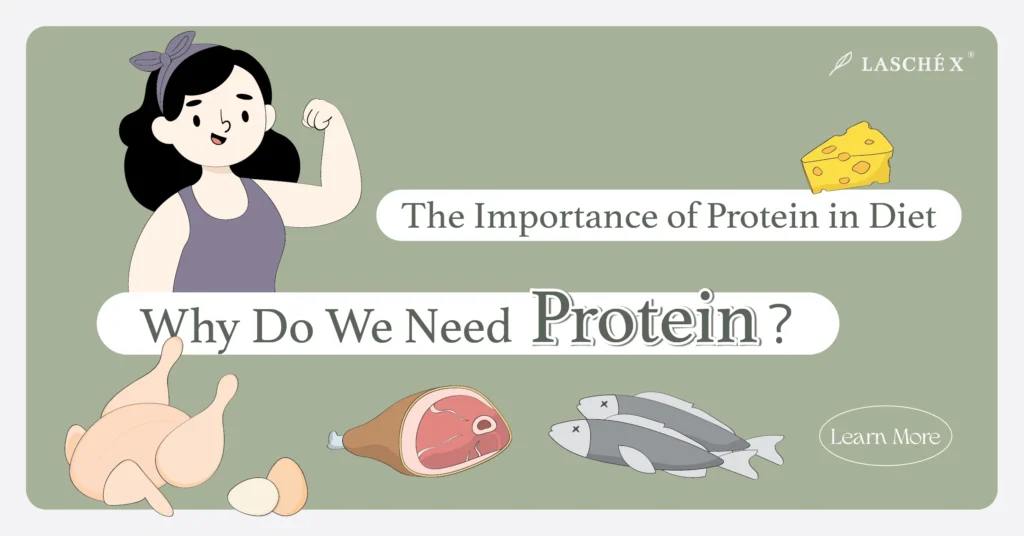 Why Do We Need Protein: