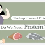 Why Do We Need Protein: